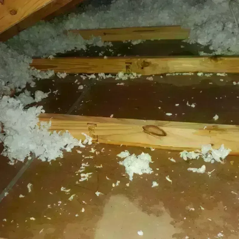 Attic Water Damage in Bohemia, NY